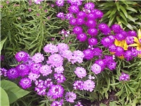 30c57432-Picture 004.jpg